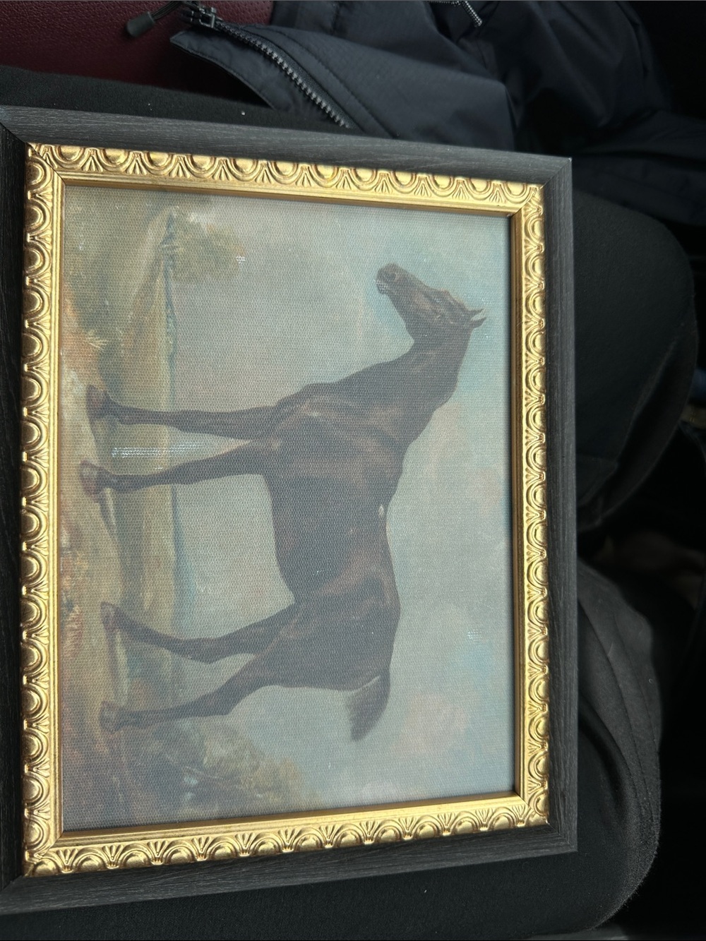 8x10 Black Horse Canvas Wall Art with Ornate Gold Frame
